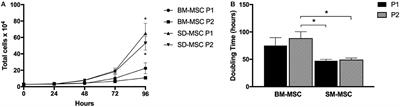 Comparison of the Chondrogenic Differentiation Potential of Equine Synovial Membrane-Derived and Bone Marrow-Derived Mesenchymal Stem Cells